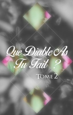 Que diable as tu fait ? Tome 2