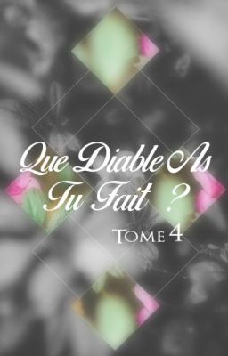 Que diable as tu fait ? Tome 4