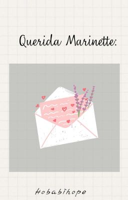 Querida Marinette:...