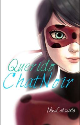 Querido Chat Noir (One-Shot)