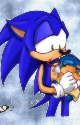 ¿Quien lo diría.....? ♡sonic boom sonadow♡