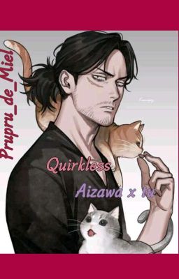 ✨Quirklees✨ (Aizawa X Tu) 