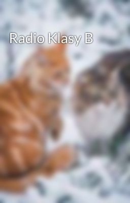 Radio Klasy B