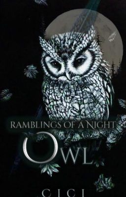 Ramblings of a Night Owl