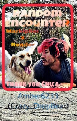 Random Encounter (Markiplier X Reader)