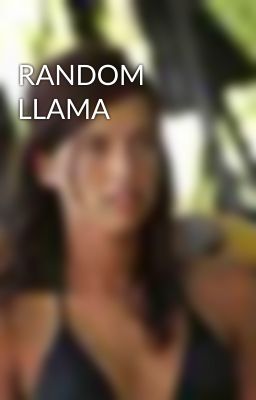 RANDOM LLAMA