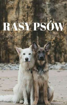 Rasy psów 