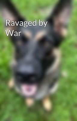 Ravaged by War