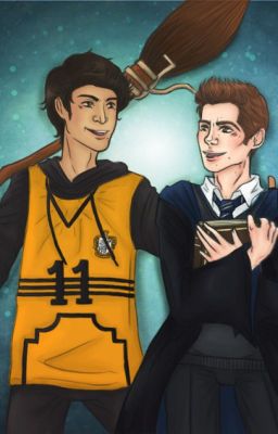 Ravenclaw /sciles