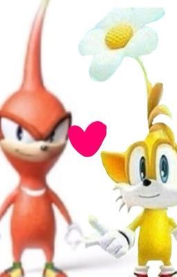 Razones para shippear Knuxails