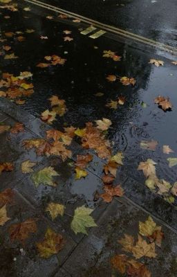 RC • autumn without u