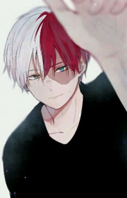  Reader Todoroki