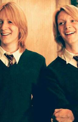 Reader x Fred & George Weasley || Zawieszone