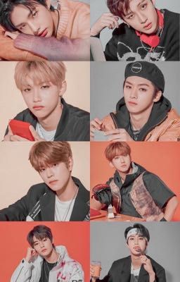 Reakcje Stray Kids 