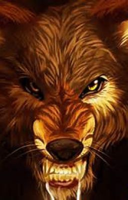 Really Good Werewolf Books on Wattpad