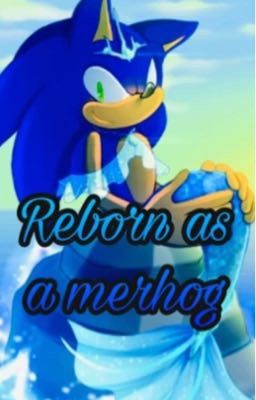 🖤 Reborn as a merhog 💙