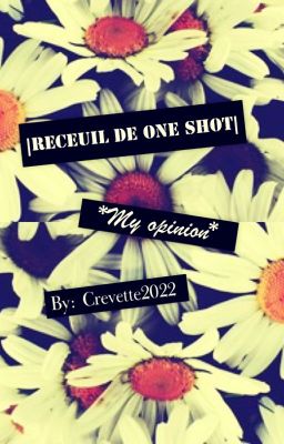 Receuil de One shot |My opinion|