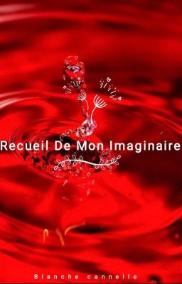 Recueil De Mon Imaginaire...