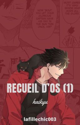 Recueil OS [haikyu]