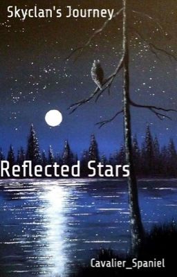 Reflected Stars