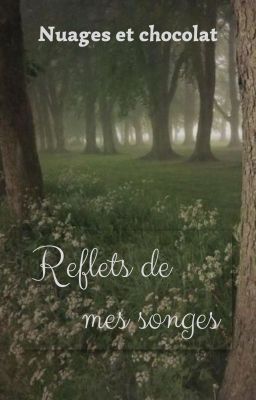 Reflets de mes songes