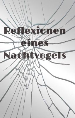 Reflexionen eines Nachtvogels