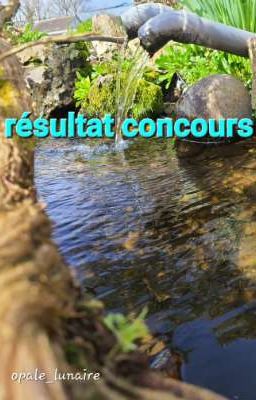 rendu concours !