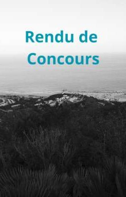 Rendu de concours 