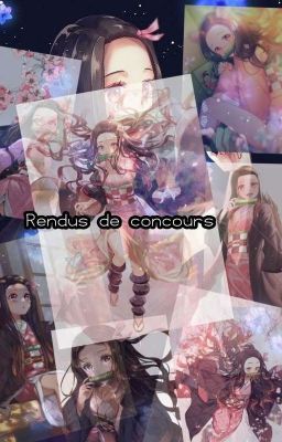 Rendu de concours 