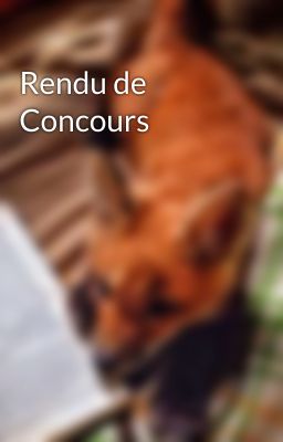 Rendu de Concours