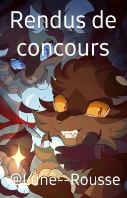 Rendus de concours 