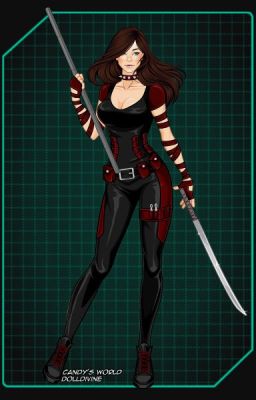 Renegade: robin's sister