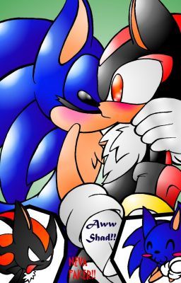 Rescued ~+Sonadow+~