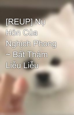 [REUP] Nụ Hôn Của Nghịch Phong ~ Bất Thậm Liễu Liễu