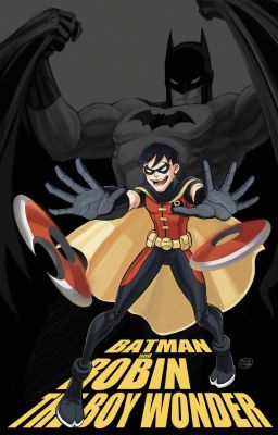 Revealing the Secrets of Bats (A Young Justice Fan Fiction)