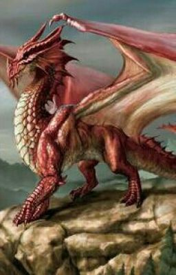 Rey de Dragones