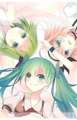 ( Rin, Gumi, Miku ) Mèo nhỏ, tôi yêu em 