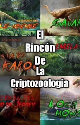 Rincon De La Criptozoologia