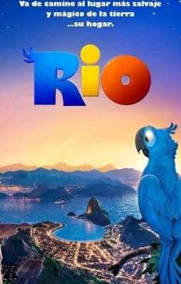 Rio: de regreso a casa