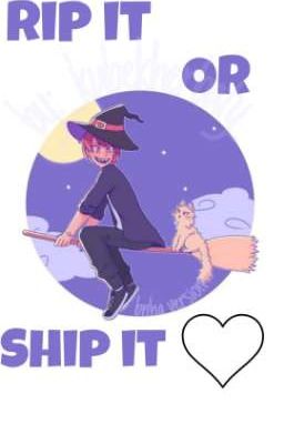 RIP IT or SHIP IT •  bnha 