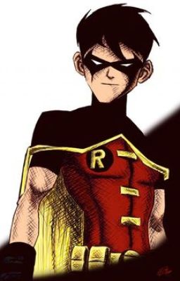 Robin's Allergies (A Young Justice Fan Fiction)