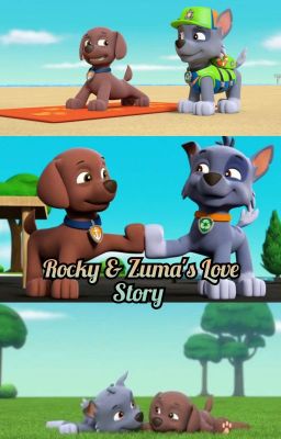 Rocky and Zuma's Love Story