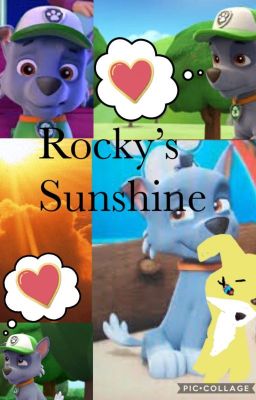 Rocky's Sunshine