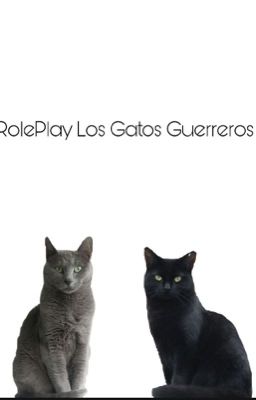 RolePlay Los Gatos Guerreros  (CERRADO TEMPORALMENTE, tiempo indefinido.)