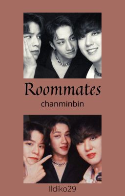 Roommates ❁chanminbin❁✔️