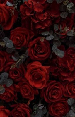 Rose.