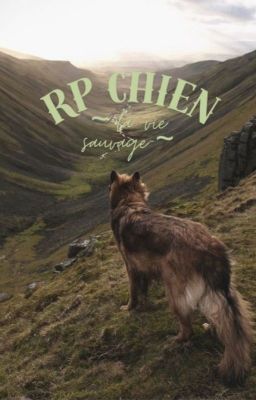 Rp chien ~la vie sauvage~