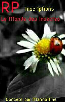 RP Le mondes des insectes (inscriptions)