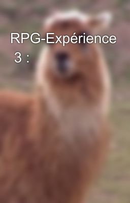 RPG-Expérience  3 : 