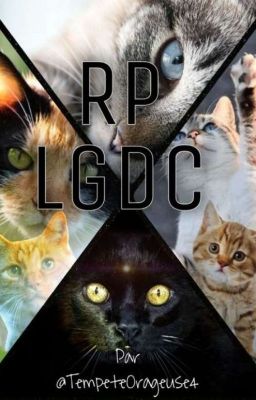 RPlgdc 🐈🐈✨❤️ [INSCRIPTIONS OUVERTES]